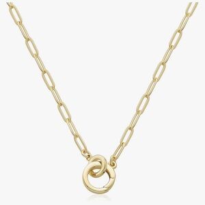 Classic Gold Interlocking Paperclip Circle Pendant Lariat Charm Holder Necklace